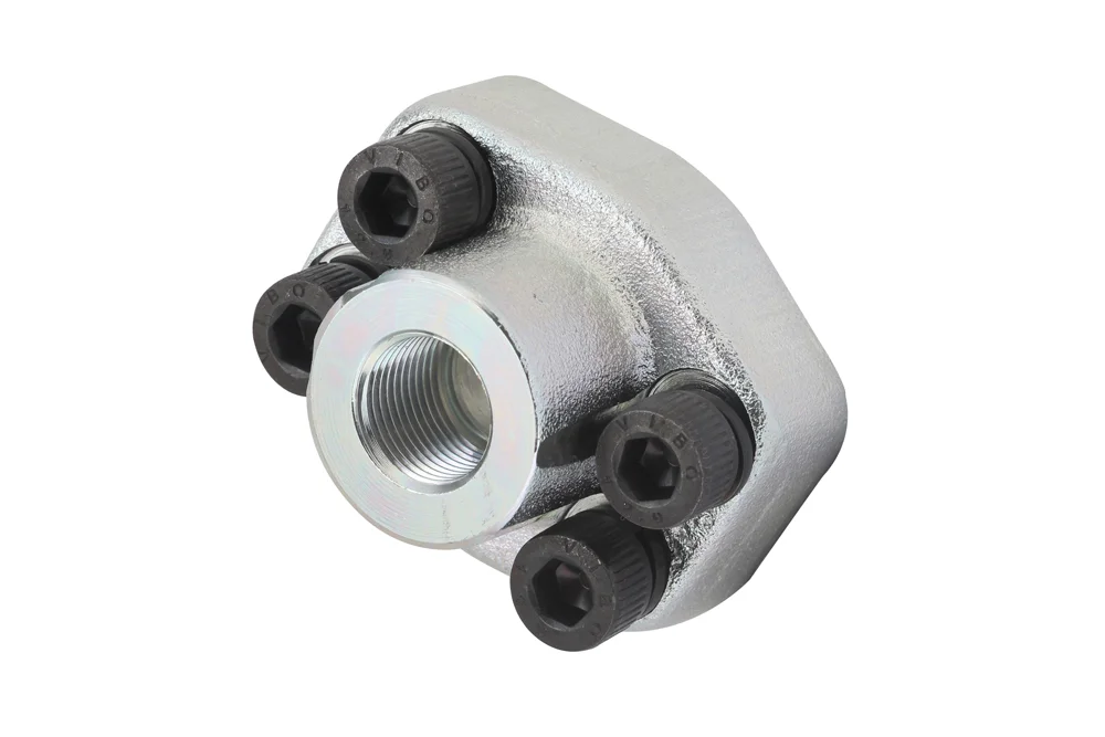 Connessione flangiata SAE 3000 / GW BSP, acciaio al carbonio, tipo D3