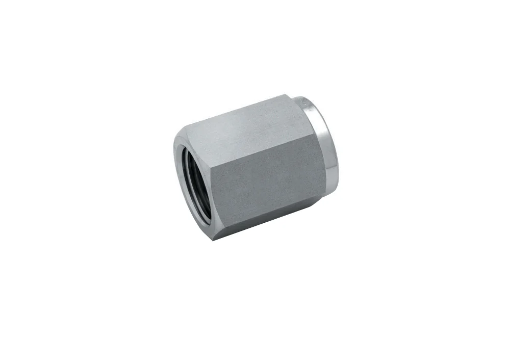 Tappo esagonale con filettatura interna NPT, acciaio inox, 108H